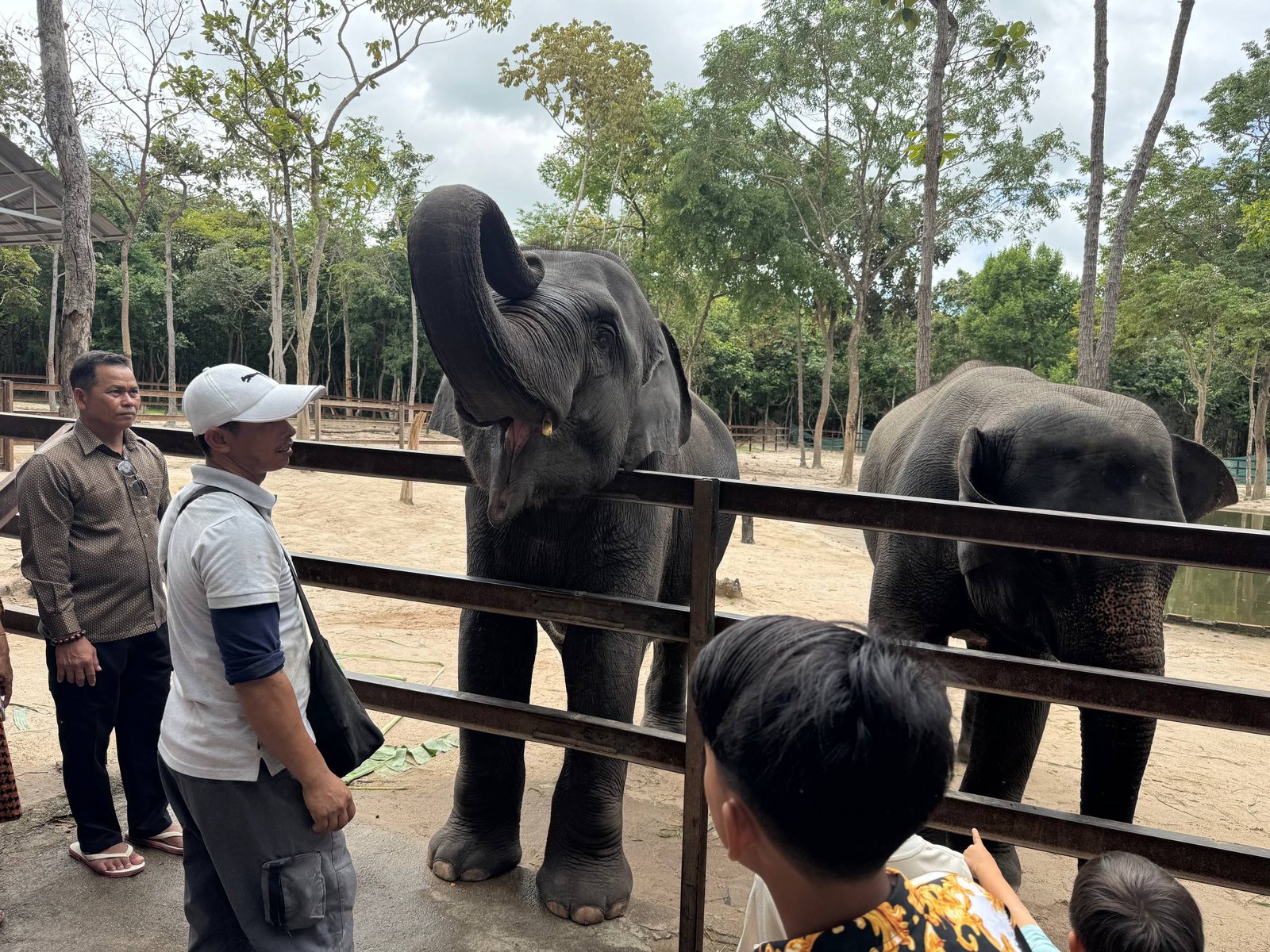 Phnom Penh to Farmhouse